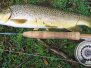 Fly Fishing