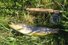 phoca_thumb_l_fly_fishing_6