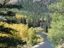 Fall at Sheep Creek